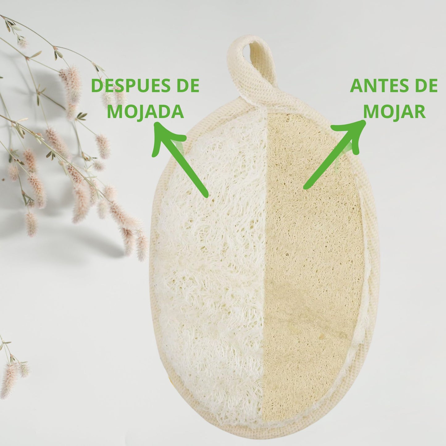 Renueva tu piel y limpia tu hogar de manera sostenible con la suavidad y eficacia de la Luffa 100% natural. 🌱✨ ¡Cuida tu bienestar y el planeta al mismo tiempo! 🌍💚 #EcoLuffa #VidaSostenible